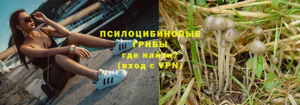 каннабис Алзамай