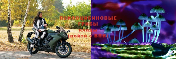a pvp Алексеевка